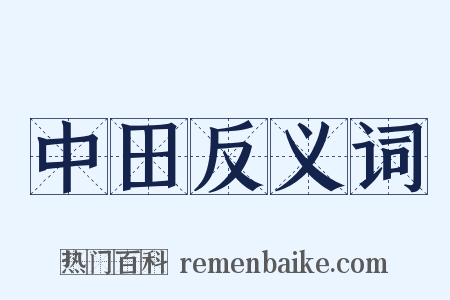 中田反义词是什么意思的图片
